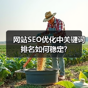 网站SEO优化中关键词排名如何稳定?(图3) 网站SEO优化中关键词排名如何稳定?(图3)