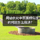 网站优化中页面相似度的问题怎么解决?(图2) 网站优化中页面相似度的问题怎么解决?(图2)