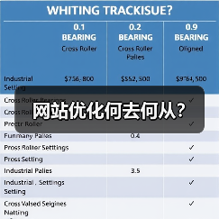 网站优化何去何从?(图3) 网站优化何去何从?(图3)