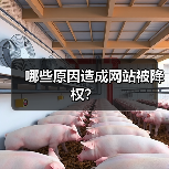 哪些原因造成网站被降权?(图4) 哪些原因造成网站被降权?(图4)