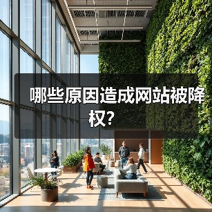 哪些原因造成网站被降权?(图2) 哪些原因造成网站被降权?(图2)