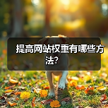 提高网站权重有哪些方法?(图2) 提高网站权重有哪些方法?(图2)