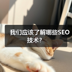 我们应该了解哪些SEO技术?(图2) 我们应该了解哪些SEO技术?(图2)