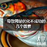 导致网站优化不成功的几个因素（图4）