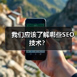 我们应该了解哪些SEO技术?(图4) 我们应该了解哪些SEO技术?(图4)