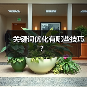 关键词优化有哪些技巧？（图1）