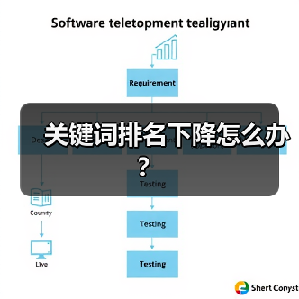 关键词排名下降怎么办?(图3) 关键词排名下降怎么办?(图3)