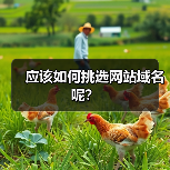 应该如何挑选网站域名呢?(图2) 应该如何挑选网站域名呢?(图2)