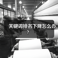 关键词排名下降怎么办?(图2) 关键词排名下降怎么办?(图2)