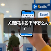 关键词排名下降怎么办?(图1) 关键词排名下降怎么办?(图1)