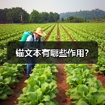 锚文本有哪些作用?(图1) 锚文本有哪些作用?(图1)