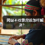 网站不收录应该怎样解决？（图1）
