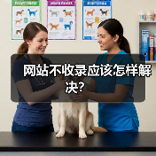 网站不收录应该怎样解决？（图3）
