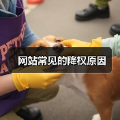 网站常见的降权原因(图2) 网站常见的降权原因(图2)