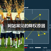 网站常见的降权原因(图4) 网站常见的降权原因(图4)