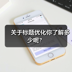 关于标题优化你了解多少呢?(图4) 关于标题优化你了解多少呢?(图4)