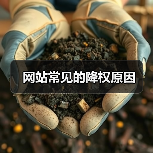 网站常见的降权原因(图1) 网站常见的降权原因(图1)