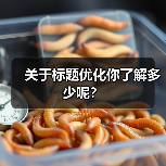 关于标题优化你了解多少呢?(图1) 关于标题优化你了解多少呢?(图1)