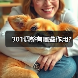 301调整有哪些作用?(图4) 301调整有哪些作用?(图4)