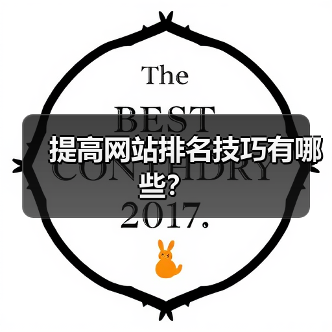 提高网站排名技巧有哪些?(图4) 提高网站排名技巧有哪些?(图4)