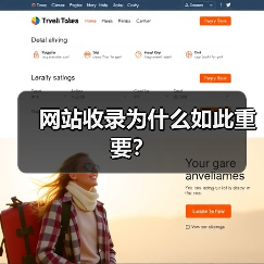 网站收录为什么如此重要?(图3) 网站收录为什么如此重要?(图3)