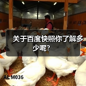 关于百度快照你了解多少呢?(图1) 关于百度快照你了解多少呢?(图1)