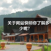 关于网站快照你了解多少呢？（图2）