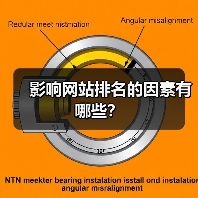 影响网站排名的因素有哪些?(图3) 影响网站排名的因素有哪些?(图3)