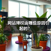 网站降权由哪些原因引起的？（图4）