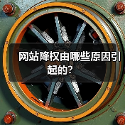 网站降权由哪些原因引起的？（图2）