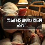 网站降权由哪些原因引起的？（图1）