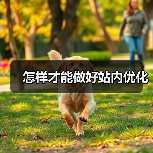 怎样才能做好站内优化（图2）