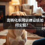 高转化率网站建设该如何实现?(图4) 高转化率网站建设该如何实现?(图4)
