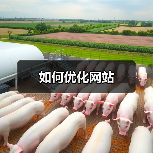 如何优化网站(图1) 如何优化网站(图1)