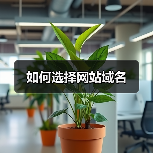 如何选择网站域名(图2) 如何选择网站域名(图2)