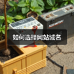 如何选择网站域名(图3) 如何选择网站域名(图3)
