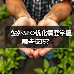 站外SEO优化需要掌握哪些技巧?(图4) 站外SEO优化需要掌握哪些技巧?(图4)