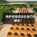 维护关键词排名技巧有哪些?(图3) 维护关键词排名技巧有哪些?(图3)