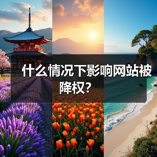 什么情况下影响网站被降权?(图1) 什么情况下影响网站被降权?(图1)