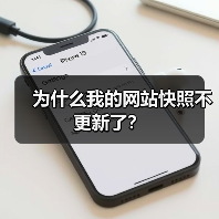 为什么我的网站快照不更新了?(图4) 为什么我的网站快照不更新了?(图4)
