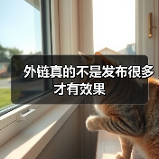 外链真的不是发布很多才有效果（图1）