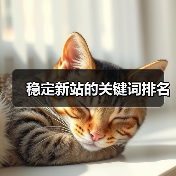 稳定新站的关键词排名(图2) 稳定新站的关键词排名(图2)