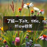 了解一下alt、title、nofflow标签(图4) 了解一下alt、title、nofflow标签(图4)