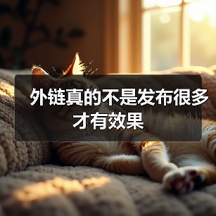 外链真的不是发布很多才有效果（图2）