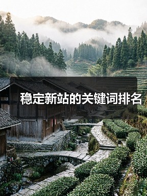 稳定新站的关键词排名(图4) 稳定新站的关键词排名(图4)