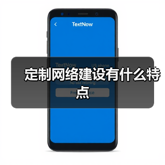 定制网络建设有什么特点(图4) 定制网络建设有什么特点(图4)