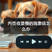内页收录慢的现象该怎么办(图1) 内页收录慢的现象该怎么办(图1)