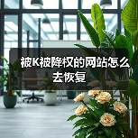 被K被降权的网站怎么去恢复(图2) 被K被降权的网站怎么去恢复(图2)
