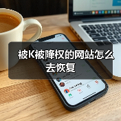 被K被降权的网站怎么去恢复(图3) 被K被降权的网站怎么去恢复(图3)