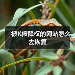 被K被降权的网站怎么去恢复(图4) 被K被降权的网站怎么去恢复(图4)